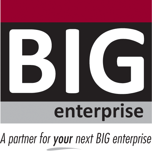 BIGenterprise Logo